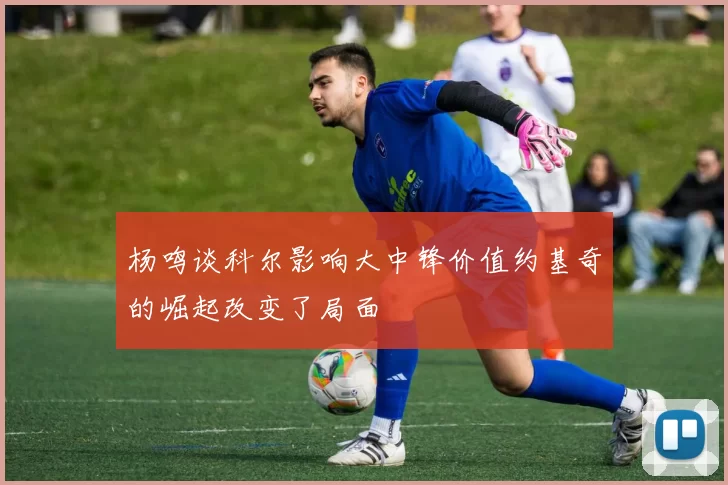 杨鸣谈科尔影响大中锋价值约基奇的崛起改变了局面