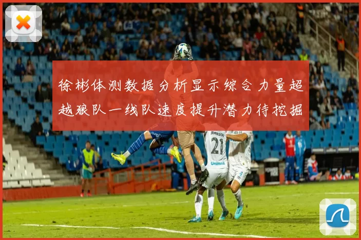 徐彬体测数据分析显示综合力量超越狼队一线队速度提升潜力待挖掘