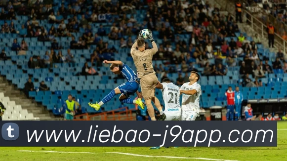 App Interface Preview