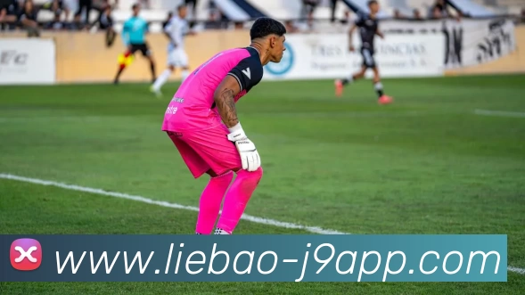 九游会APP 封面图